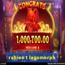 rabies t lagomorph