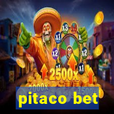 pitaco bet