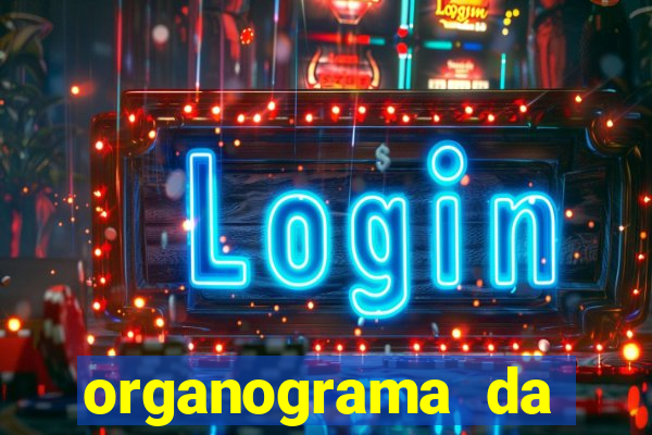 organograma da cacau show