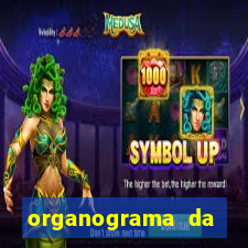 organograma da cacau show