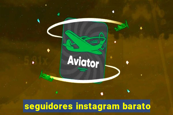seguidores instagram barato