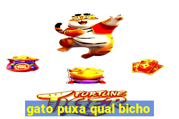 gato puxa qual bicho