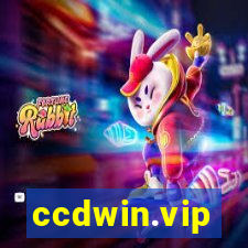 ccdwin.vip