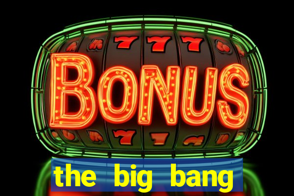 the big bang theory: couple goals