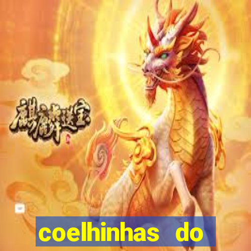 coelhinhas do brasil acompanhantes