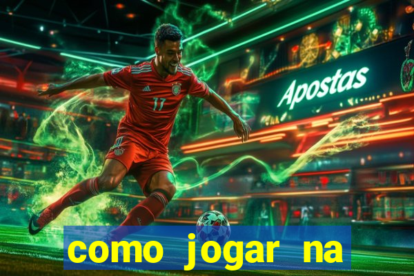 como jogar na lotinha do jogo do bicho