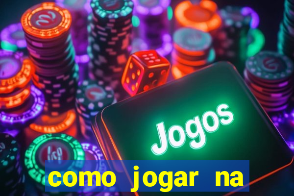 como jogar na lotinha do jogo do bicho