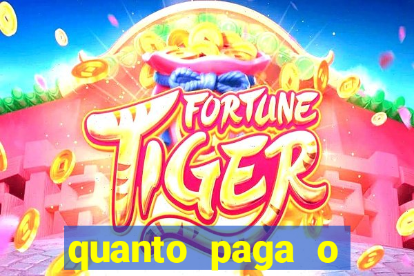 quanto paga o jungle fight