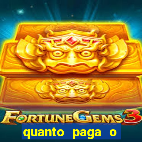 quanto paga o jungle fight