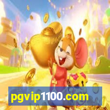 pgvip1100.com