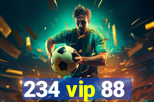 234 vip 88