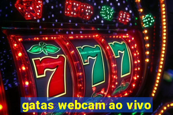 gatas webcam ao vivo