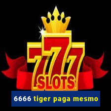 6666 tiger paga mesmo