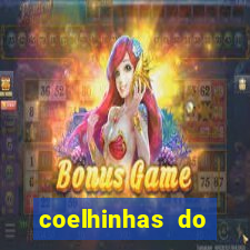 coelhinhas do brasil site