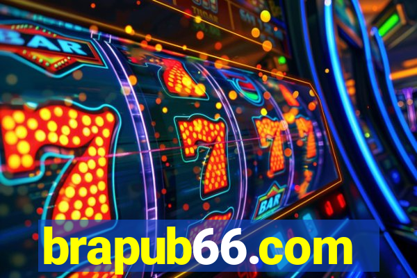 brapub66.com