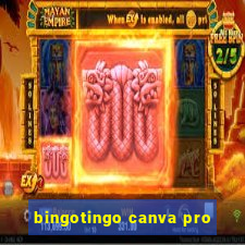 bingotingo canva pro