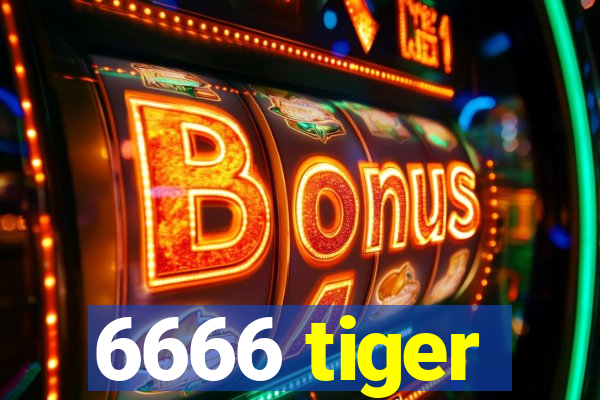 6666 tiger