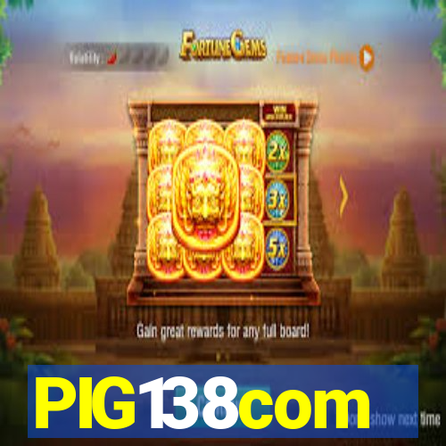 PIG138com