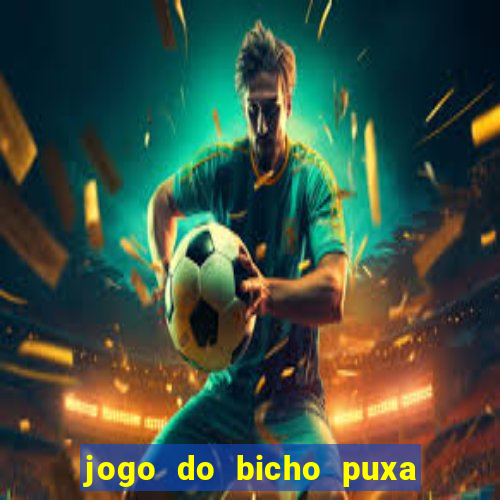 jogo do bicho puxa de dona maria