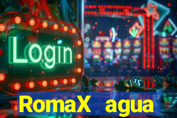 RomaX agua sanitaria fispq agua sanitaria romax