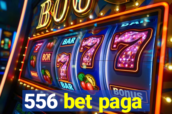 556 bet paga