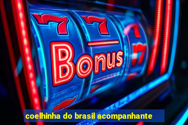 coelhinha do brasil acompanhante