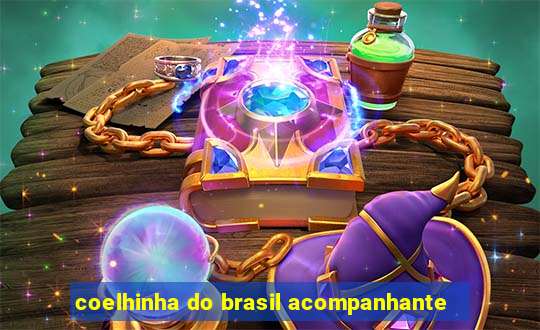 coelhinha do brasil acompanhante