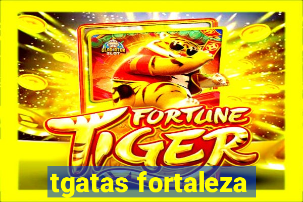tgatas fortaleza