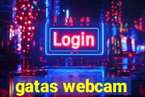 gatas webcam