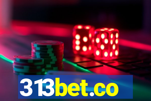 313bet.co