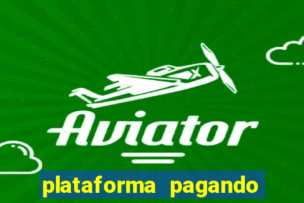plataforma pagando no cadastro