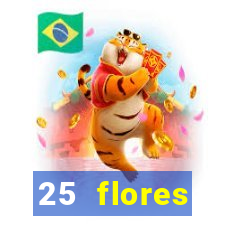 25 flores silvestres com nomes 25 flores silvestres desbravadores