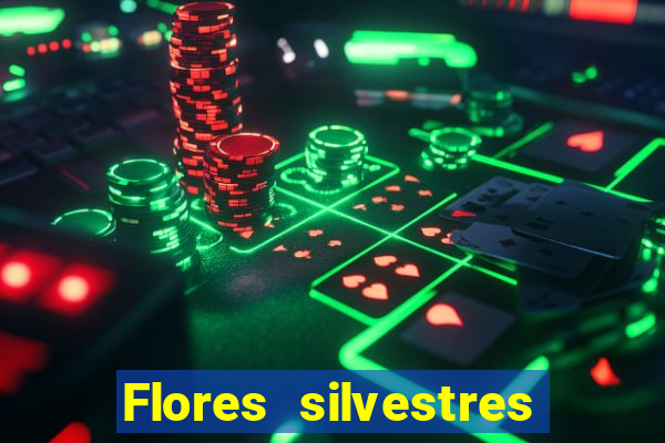 Flores silvestres brasileiras brasileiras flores silvestres nomes e imagens