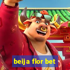 beija flor bet