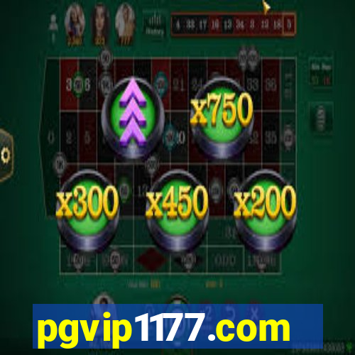 pgvip1177.com