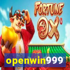 openwin999