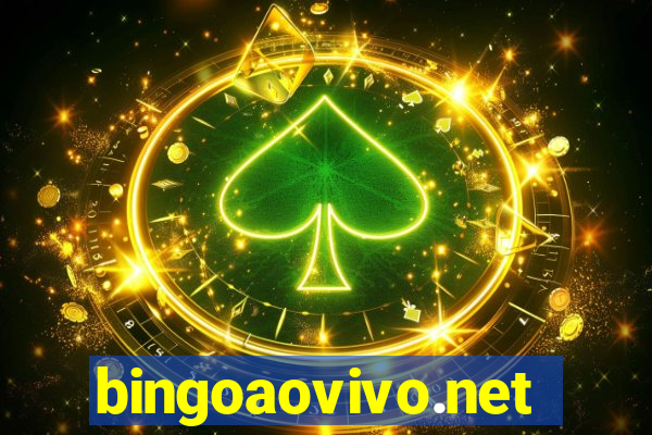 bingoaovivo.net
