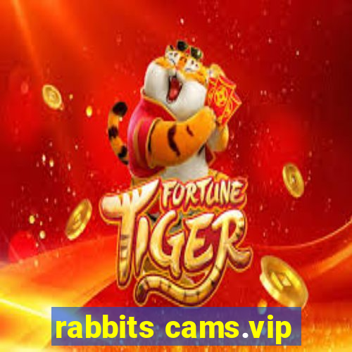 rabbits cams.vip