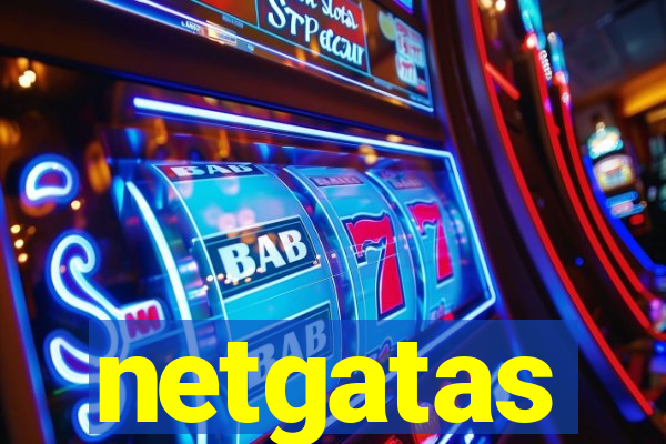 netgatas