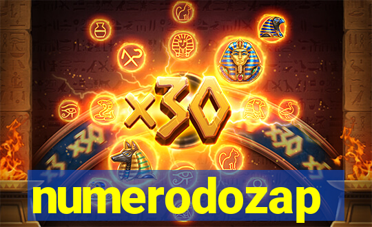 numerodozap