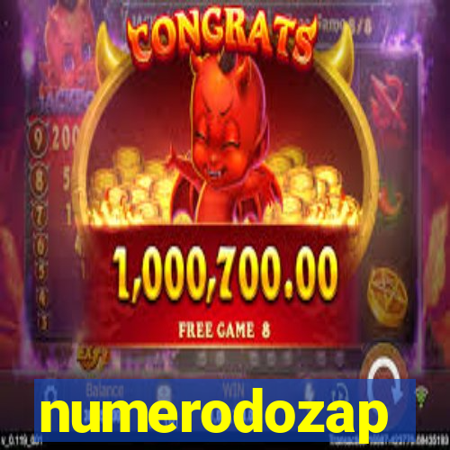 numerodozap