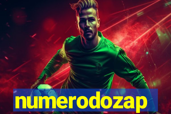 numerodozap