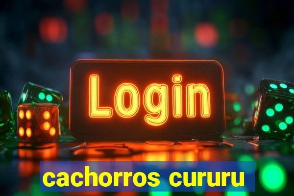 cachorros cururu