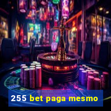 255 bet paga mesmo