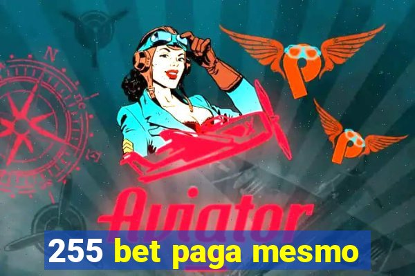 255 bet paga mesmo