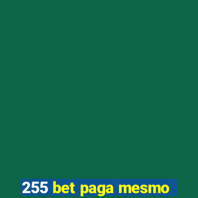 255 bet paga mesmo