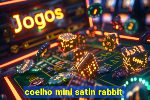 coelho mini satin rabbit